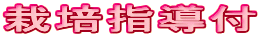 ͔|wt