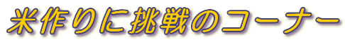 čɒ̃R[i[
