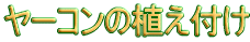 [R̐At 