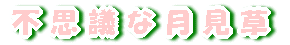 svcȌ 