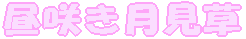 炫 